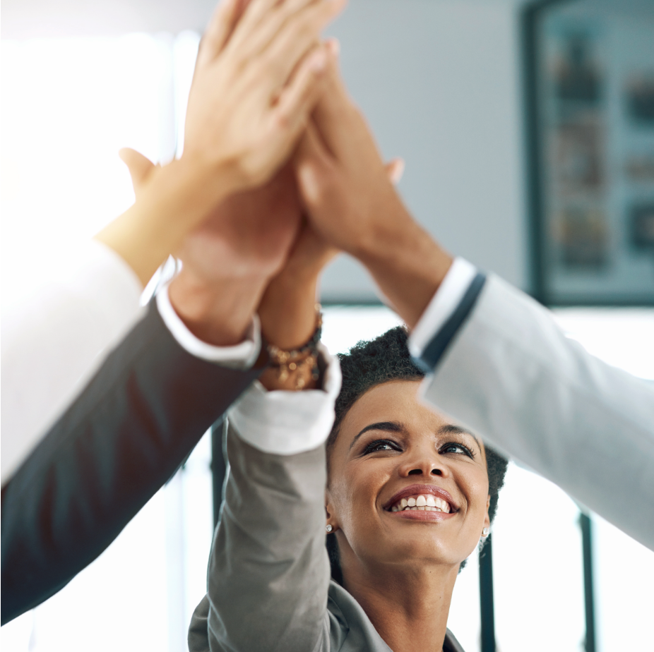 The MindShift Coaching©