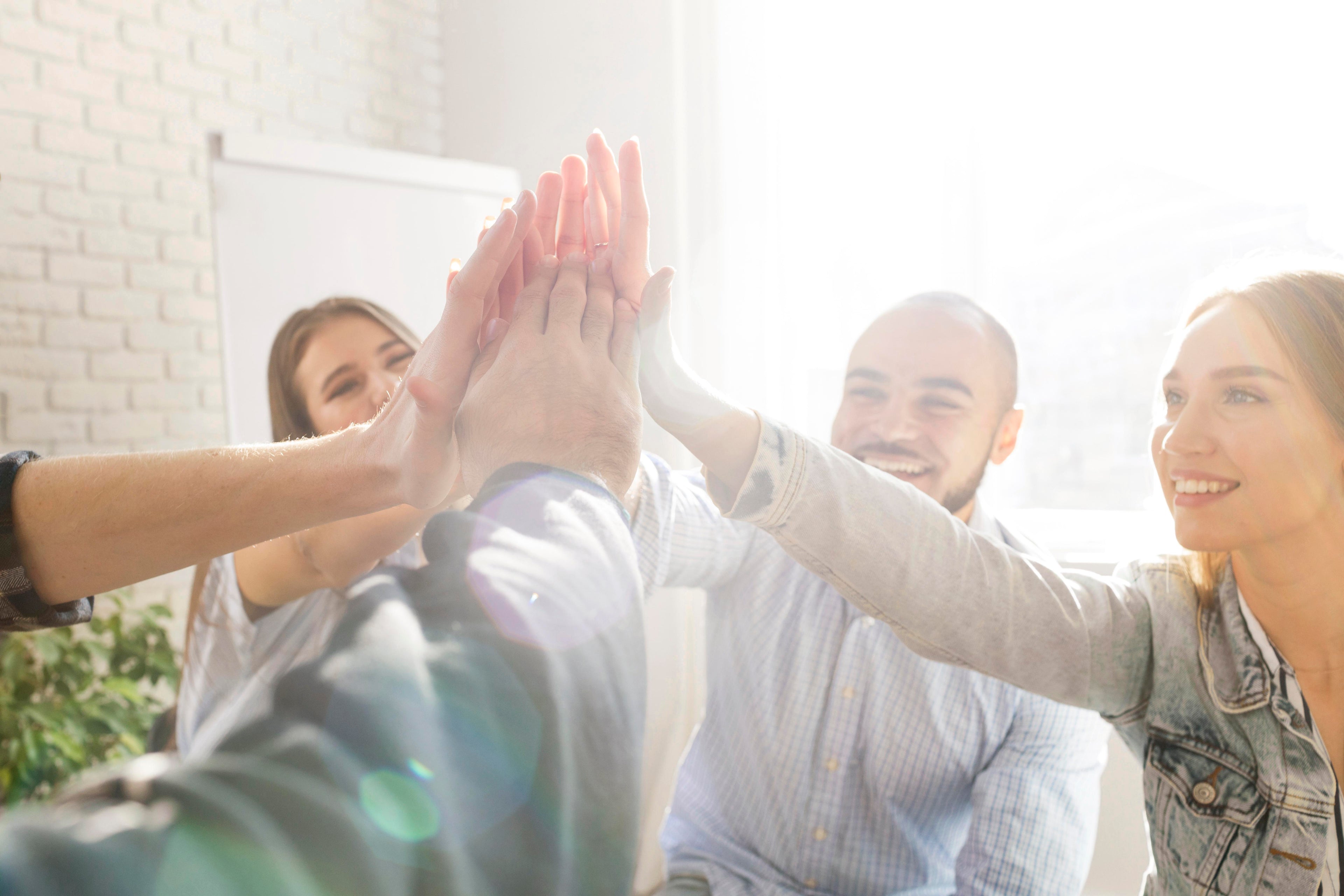 The MindShift Guild©